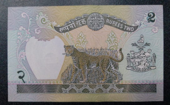 10 Nepalese Rupee (back)